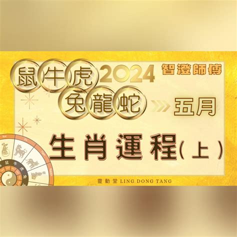 2024屬兔的運勢|生肖兔: 性格，愛情，2024運勢，生肖1987，1999，2011